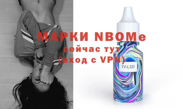 молекула духа Арсеньев