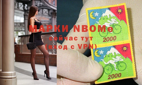 молекула духа Арсеньев
